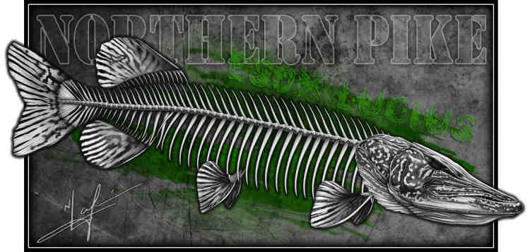 pike, skeleton, promo